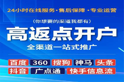 百度竞价赚钱的技巧与成功案例探讨